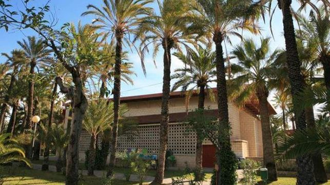 EXTRAESCOLAR EL PALMERAL ELCHE 2025-2026